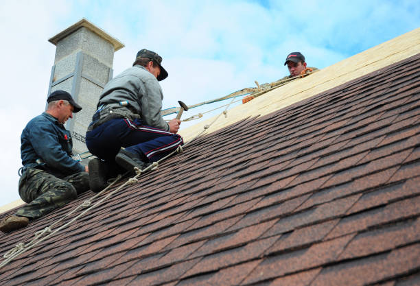 Quick and Trustworthy Emergency Roof Repair Services in Clarksdale, MS